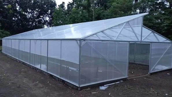 Greenhouse Baja Ringan Presisi Agro Prima Greenhouse